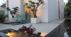 להשכרה וילה מדהימה 9 חדרים בהרצליה פיתוח